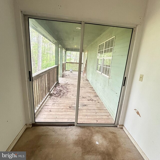 doorway to outside featuring plenty of natural light and carpet floors
