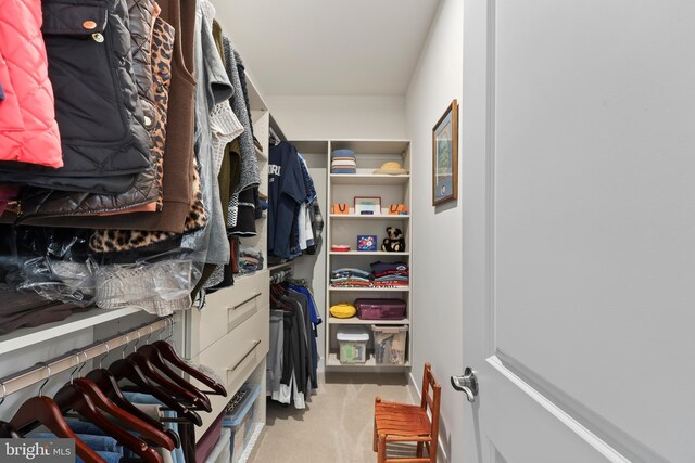 walk in closet featuring carpet