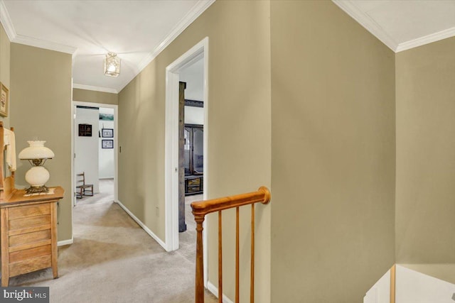 hall with baseboards, light carpet, and crown molding