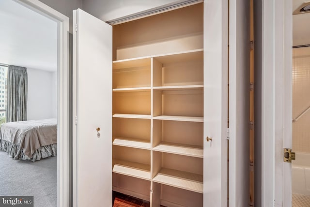 view of closet