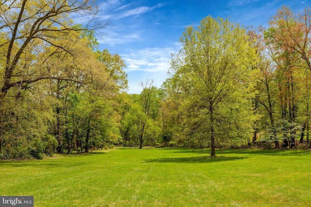 12205 Thoroughbred Rd, Oak Hill, VA 20171 - surrounding community with a lawn and a view of trees