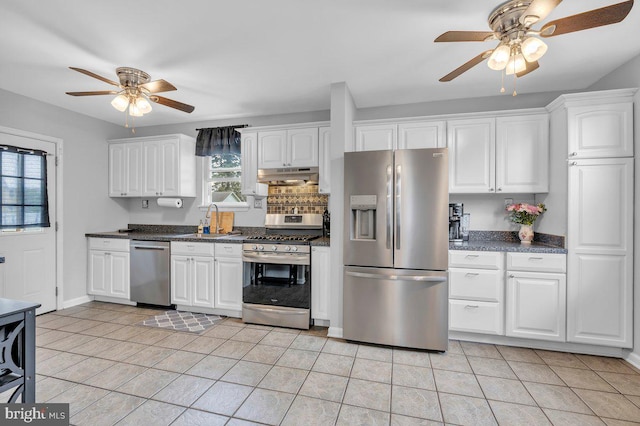 10 Turner Ave, Swedesboro, NJ 08085 - kitchen with stainless steel appliances, a ceiling fan, under cabinet range hood, and a sink