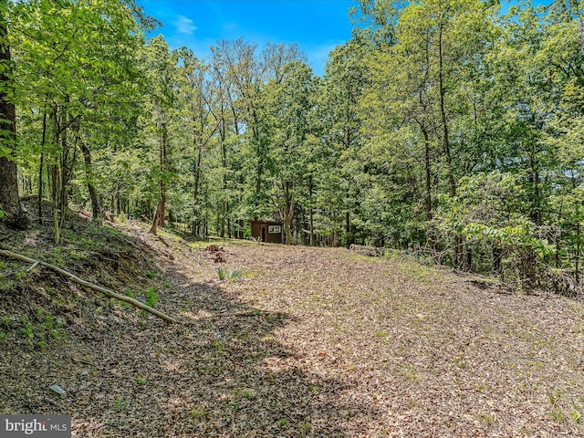 3322 Johnsons Mill Rd, Berkeley Springs, WV 25411 - view of wooded area