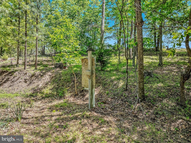 3322 Johnsons Mill Rd, Berkeley Springs, WV 25411 - view of nature