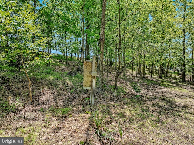 3322 Johnsons Mill Rd, Berkeley Springs, WV 25411 - view of nature