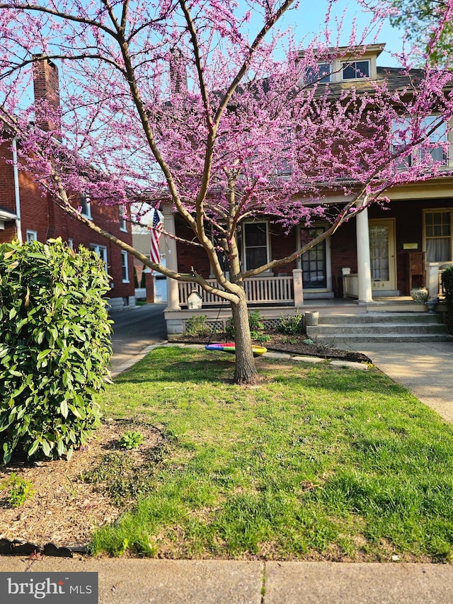 view of front of property with a porch and a front lawn