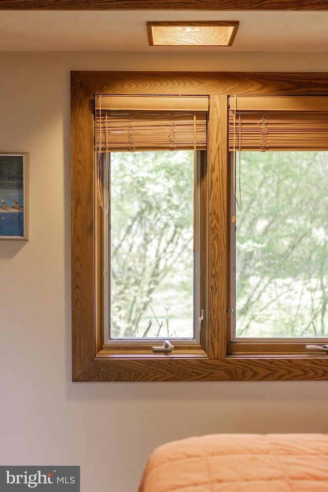 715 W Park Ave, State College, PA 16803 - view of room details