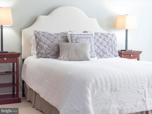 view of carpeted bedroom