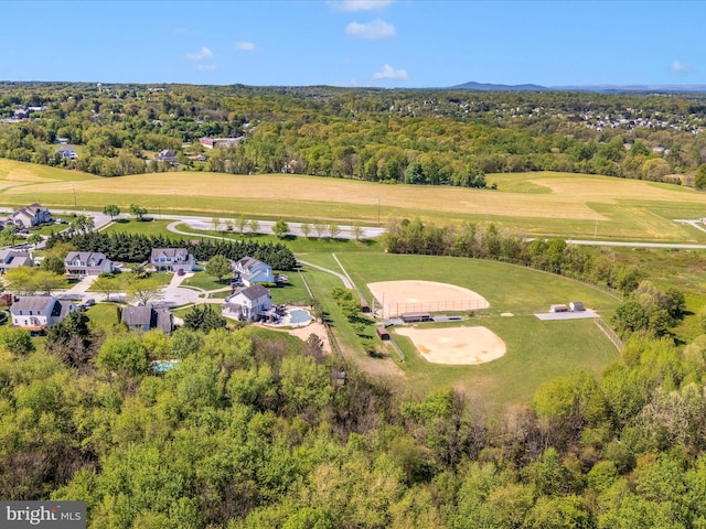 drone / aerial view