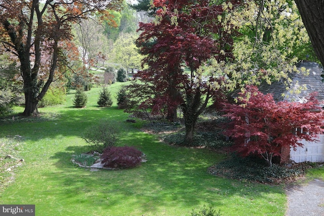 view of yard