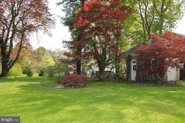 view of yard