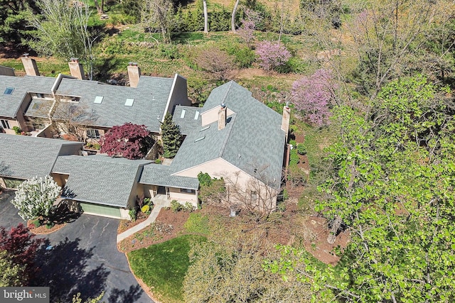 aerial view