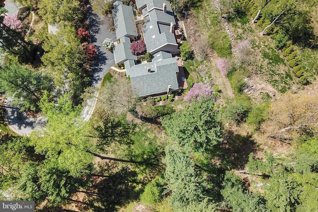 aerial view