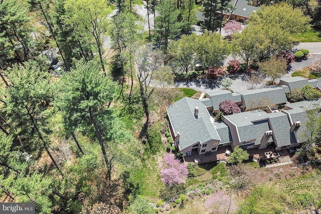 bird's eye view