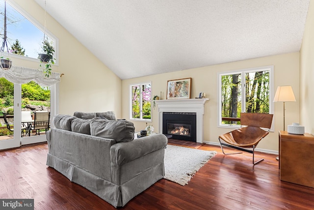 living room featuring lofted ceiling, a fireplace with flush hearth, and wood finished floors