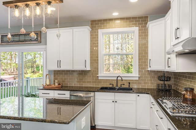 kitchen featuring a sink, stainless steel appliances, white cabinets, and under cabinet range hood