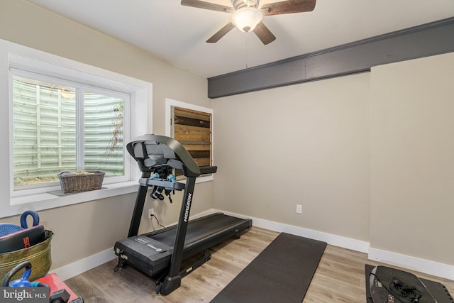 workout room with baseboards, a ceiling fan, and light wood-style flooring