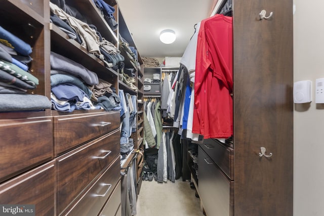 view of walk in closet
