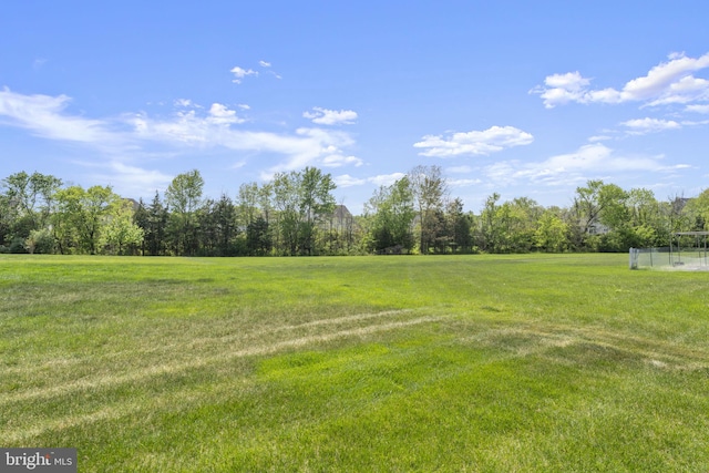 view of yard with a rural view