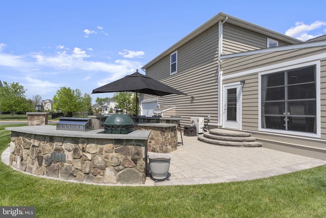 view of patio / terrace featuring grilling area, outdoor wet bar, and exterior kitchen