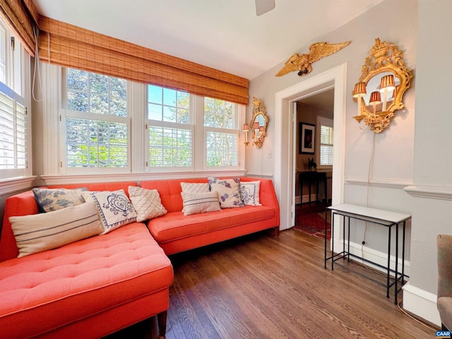 1012 Locust Ave, Charlottesville, VA 22901 - living room featuring wood finished floors and ceiling fan