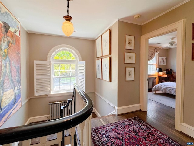 1012 Locust Ave, Charlottesville, VA 22901 - hall featuring radiator, wood finished floors, baseboards, and ornamental molding