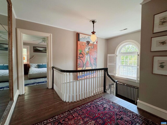 1012 Locust Ave, Charlottesville, VA 22901 - corridor with dark wood-type flooring, baseboards, ornamental molding, and an upstairs landing