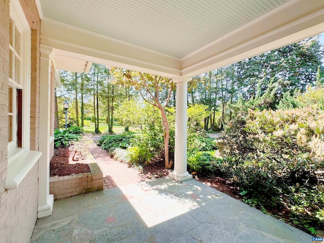 1012 Locust Ave, Charlottesville, VA 22901 - view of patio