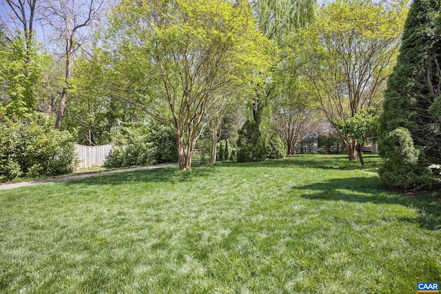 1012 Locust Ave, Charlottesville, VA 22901 - view of yard with fence