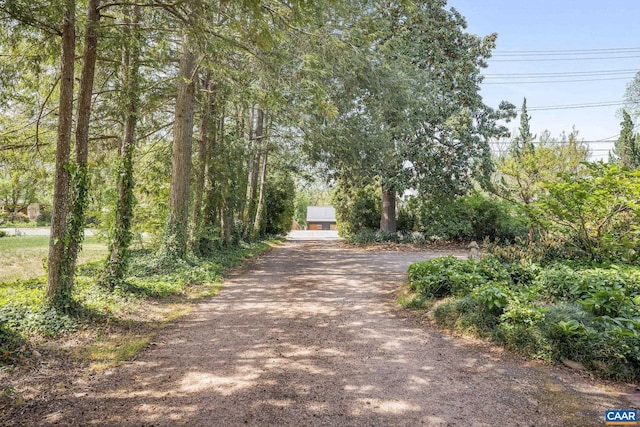 1012 Locust Ave, Charlottesville, VA 22901 - view of street