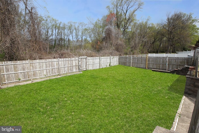 415 Sheppard Ave, Runnemede, NJ 08078 - view of yard