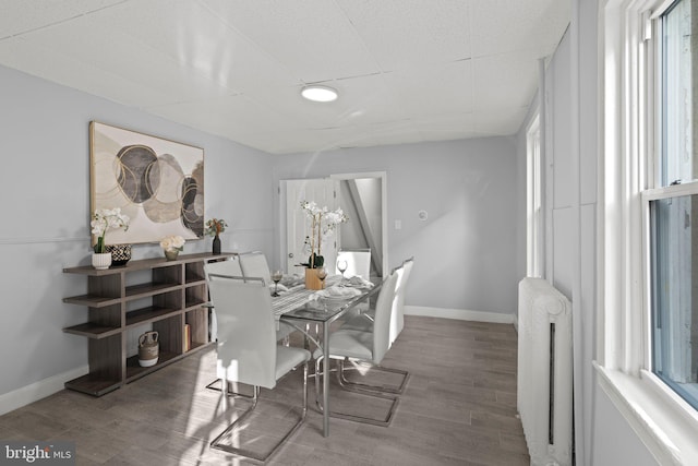 dining space with baseboards, wood finished floors, and radiator
