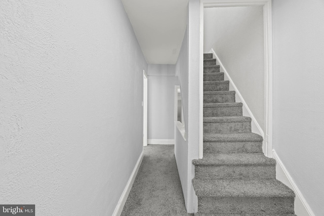 staircase featuring baseboards and carpet flooring