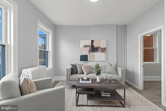 living area with baseboards and wood finished floors