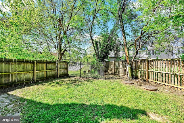 view of yard featuring a fenced backyard