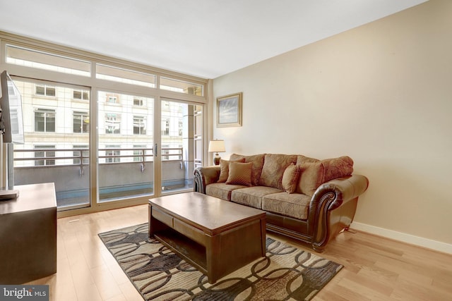 888 N Quincy St Unit 407, Arlington, VA 22203 - living area featuring light wood-style floors, expansive windows, and baseboards
