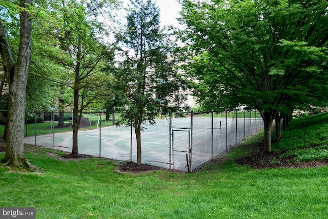 6137 Leesburg Pike Unit 101, Falls Church, VA 22041 - view of tennis court