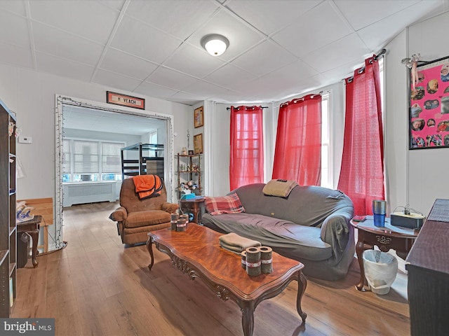 living room featuring a drop ceiling and wood finished floors
