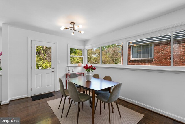 dining room featuring wood finished floors, a notable chandelier, and baseboards