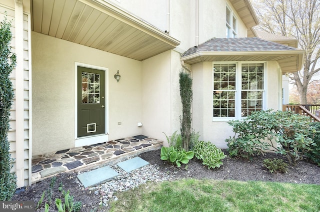 entrance to property featuring stucco siding and roof with shingles