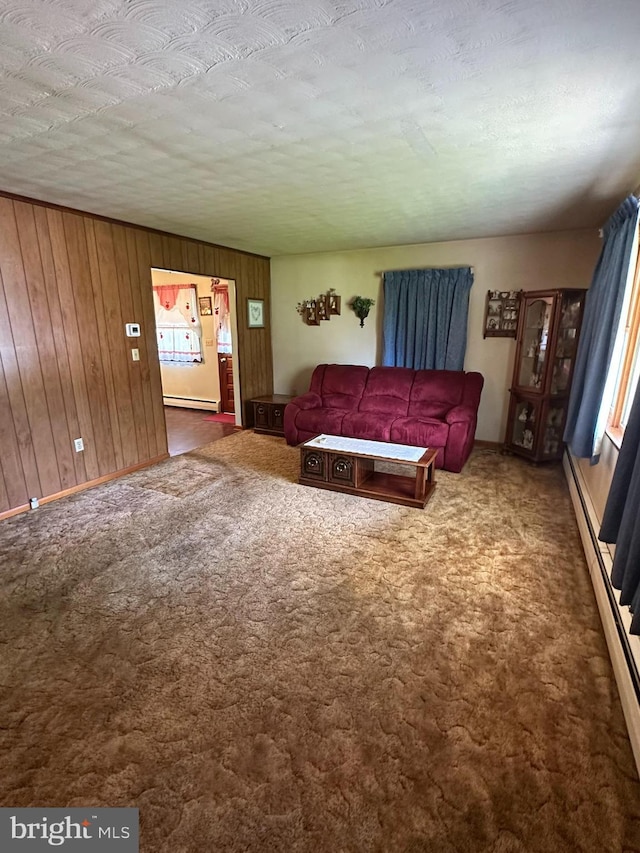 1222 Hoff Rd, Hanover, PA 17331 - living area with wooden walls, baseboards, and a baseboard heating unit