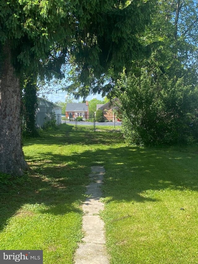 27 E Salisbury St, Williamsport, MD 21795 - view of green lawn