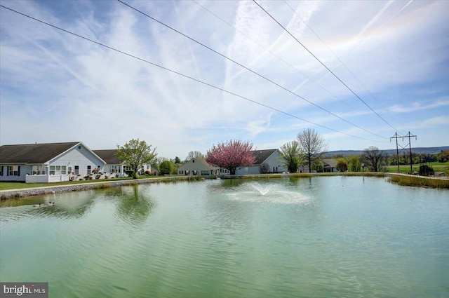 18 Lantern Ln, Shippensburg, PA 17257 - view of water feature