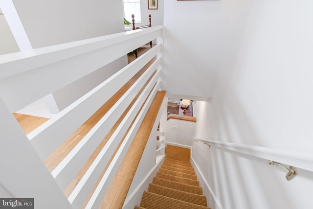 stairs with carpet flooring