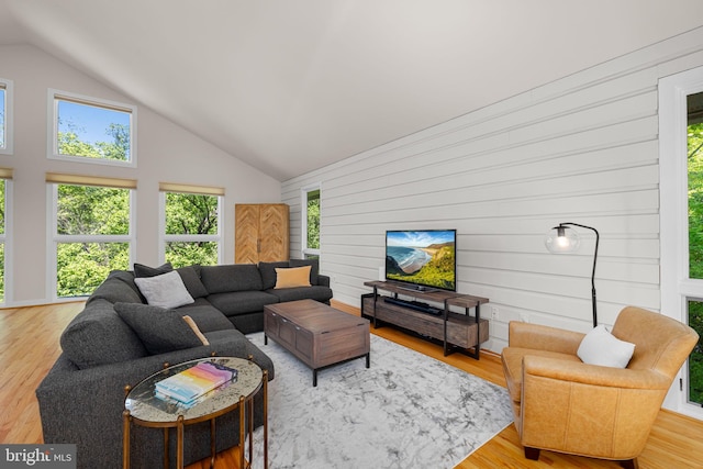 living room featuring wooden walls, high vaulted ceiling, a healthy amount of sunlight, and wood finished floors