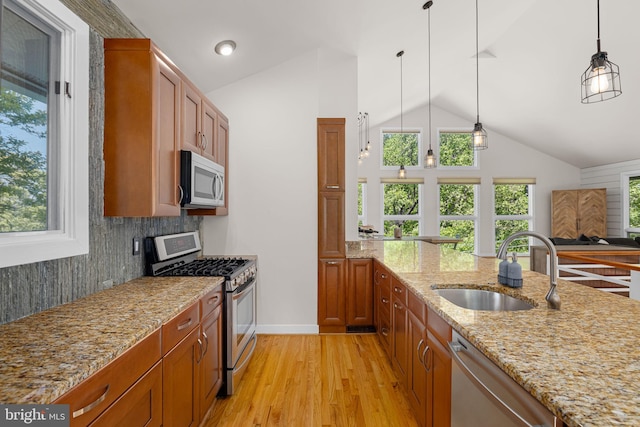 kitchen with a healthy amount of sunlight, a sink, light wood finished floors, lofted ceiling, and stainless steel appliances