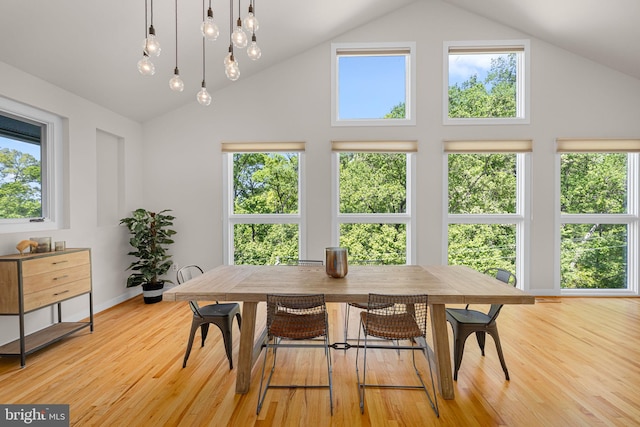 2621 S Arlington Ridge Rd, Arlington, VA 22202 - dining space featuring high vaulted ceiling and a healthy amount of sunlight