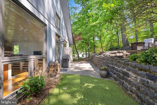 view of yard with a patio area