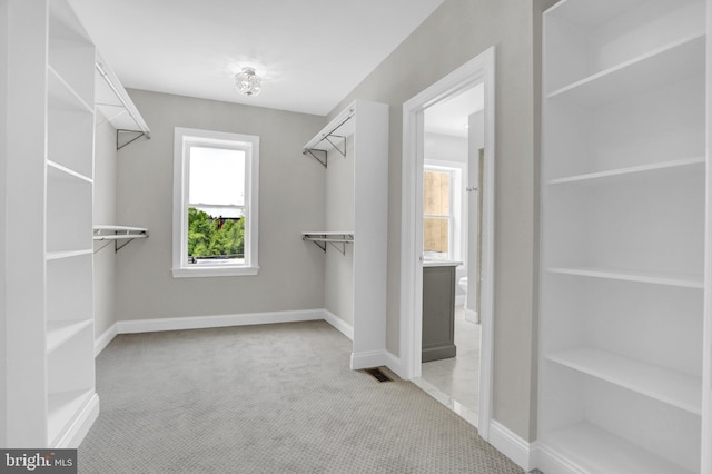 spacious closet with carpet flooring