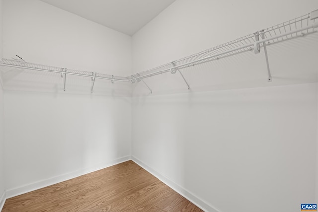 6348 Flintstone Dr, Barboursville, VA 22923 - walk in closet with wood finished floors